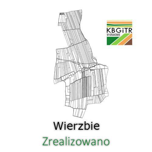 Wierzbie